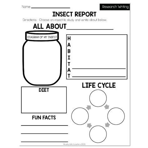 Insect Report Template 2nd Grade