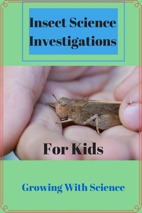 Insect Science Investigations For Kids Grasshoppers And Science Insects - Science Insects