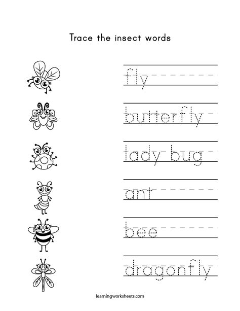 Insect Worksheets For First Grade   26 Insects Worksheets For Kindergarten Softball Wristband - Insect Worksheets For First Grade