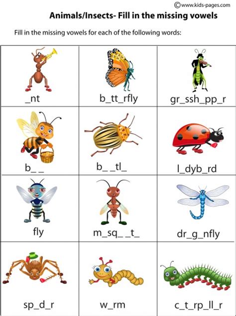 Insects 1st Grade Worksheets Amp Teaching Resources Tpt Insect Worksheet For First Grade - Insect Worksheet For First Grade