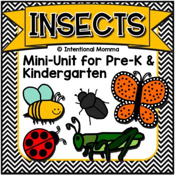 Insects And Bugs Mini Unit For Pre K Kindergarten Insect Units - Kindergarten Insect Units