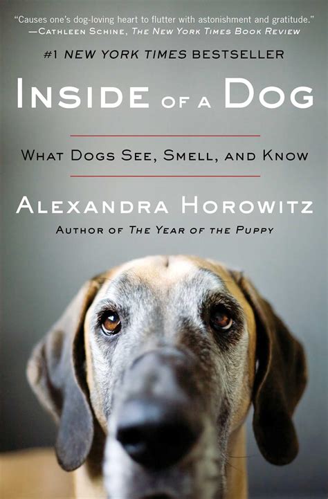 Inside Of A Dog Alexandra Horowitz
