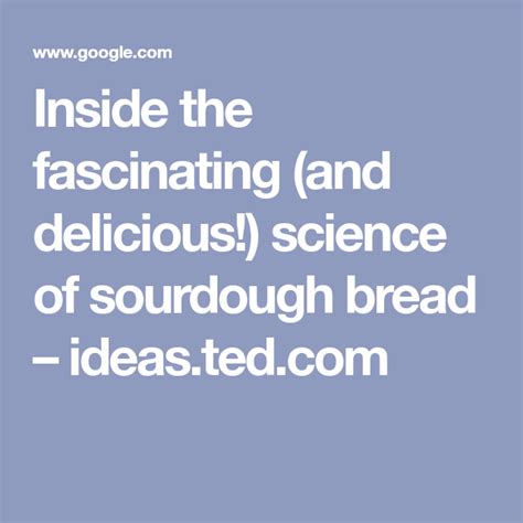 Inside The Fascinating And Delicious Science Of Sourdough Sourdough Bread Science - Sourdough Bread Science