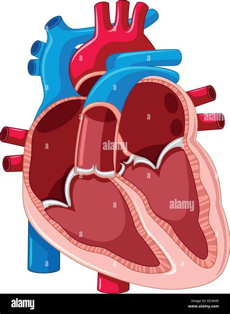 Inside The Heart Of A Thug