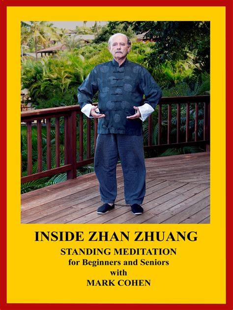 inside zhan zhuang