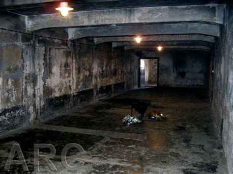Read Online Inside The Gas Chambers Eight Months In Sonderkommando Of Auschwitz Shlomo Venezia 