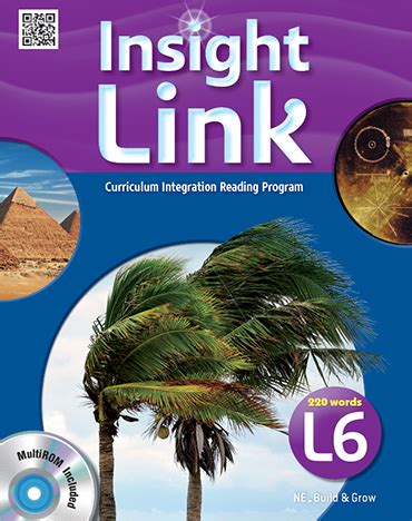 insight link 6 답지