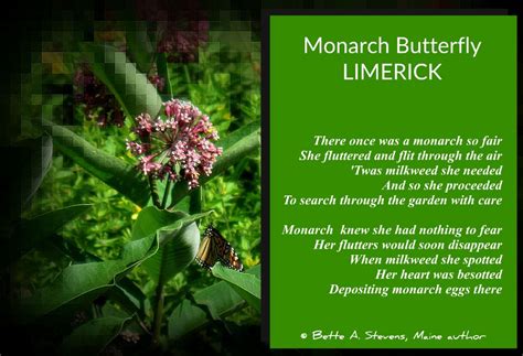 Inspired By Nature Limericks Froglife Limerick Poem About Nature - Limerick Poem About Nature