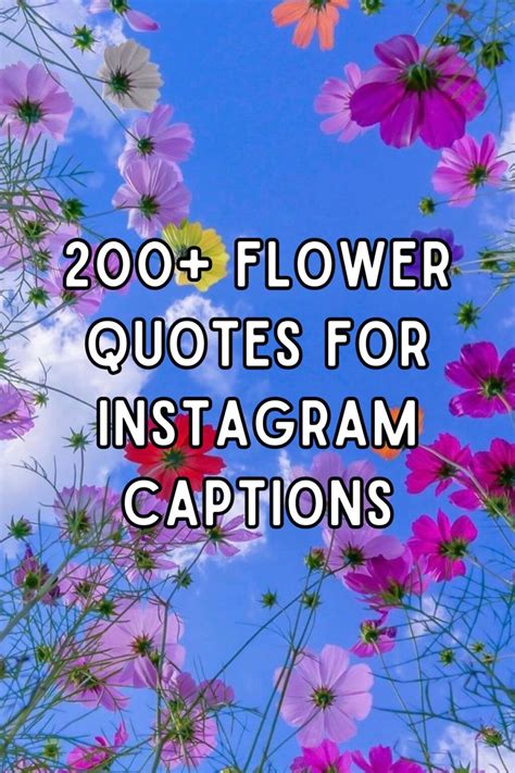 Instagram Flower Quotes