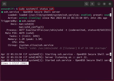 Install Ssh Server Ubuntu