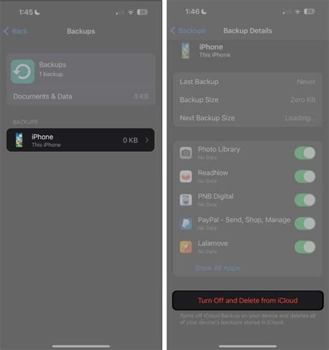 installera säkerhetskopia ipad
