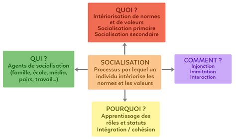 Instance De Socialisation