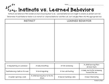 Instinct Learned Behavior Lesson Plans Amp Worksheets Animal Instincts Worksheet 4th Grade - Animal Instincts Worksheet 4th Grade