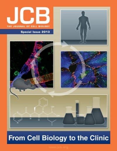 Full Download Instructions To Authors Journal Of Cell Biology 