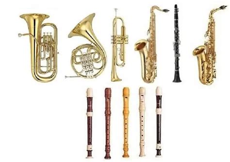 Instrumentet Muzikore Frymore