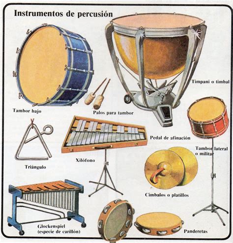 Instrumento De Percusión