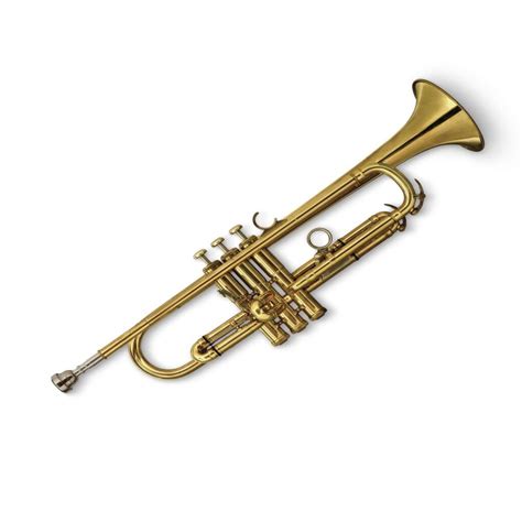 Instrumentos De Viento