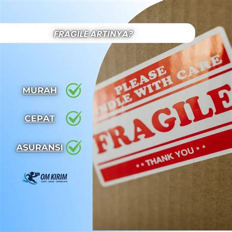 intact but fragile artinya | Natural History Museum of Venice Giancarlo Ligabue