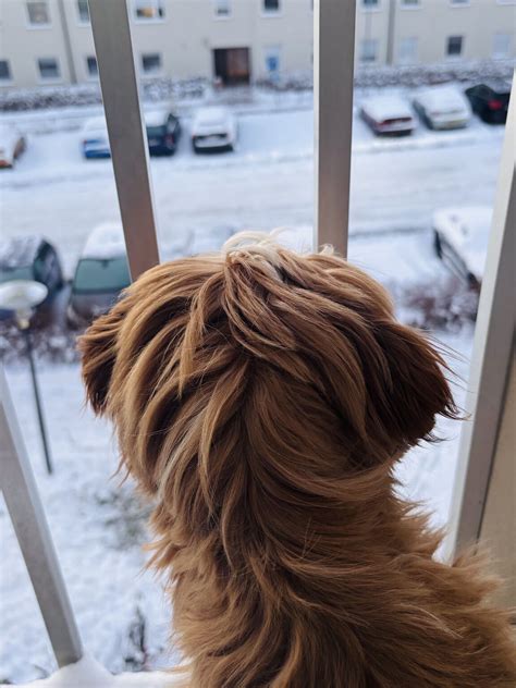 inte  förtära  vid 3 dagar