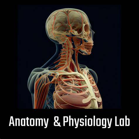 integrate anatomy and physiology lab manual answers