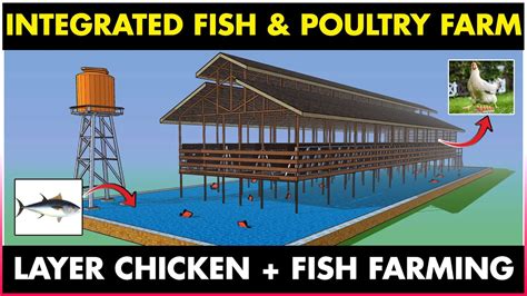 Integrated Fish Farming