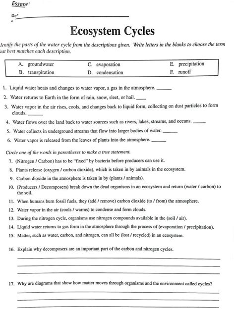 Integrated Science Cycles Worksheet Answer   Science Printable Worksheets - Integrated Science Cycles Worksheet Answer