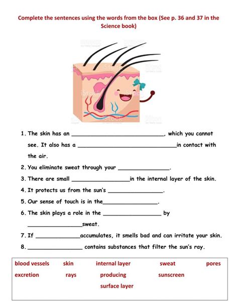Integumentary System Interactive Activity Live Worksheets The Skin Integumentary System Worksheet - The Skin Integumentary System Worksheet