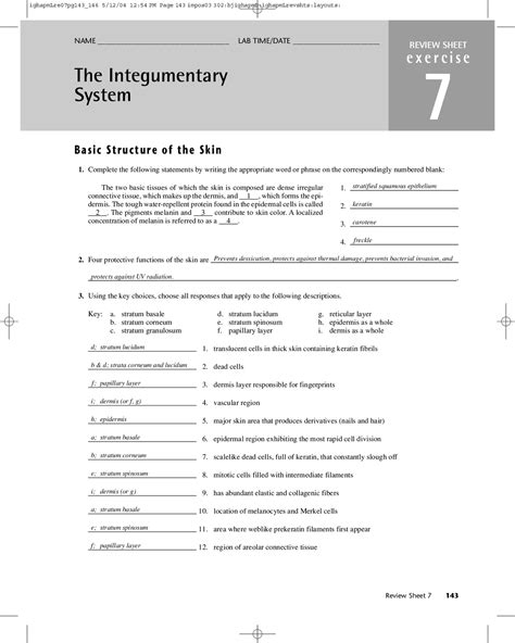 integumentary system review sheet exercise 7 answers