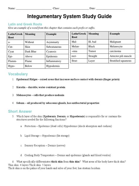 Integumentary System Study Guide Answers