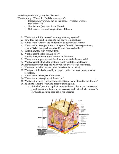 Read Online Integumentary System Test And Answers 
