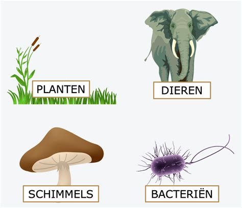 interactie organismen