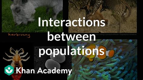 Interactions In Communities Article Khan Academy Commensalism Mutualism Parasitism Worksheet - Commensalism Mutualism Parasitism Worksheet