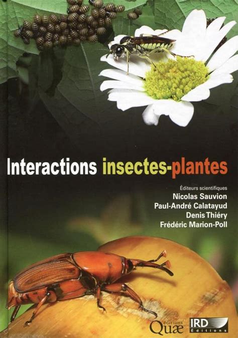 interactions insectes plantes