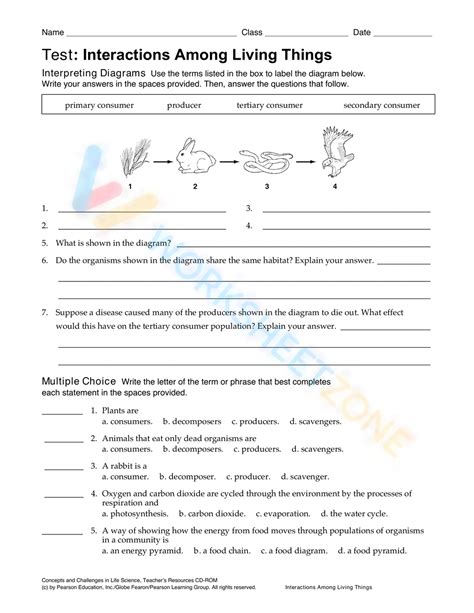 Interactions Of Living Things Worksheets Free Science Etutorworld Organism Worksheet For 7th Grade - Organism Worksheet For 7th Grade