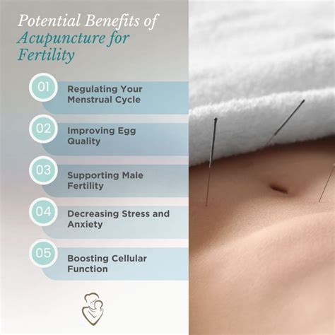 Interactive Acupuncture Chart Fertility Awareness Herbal