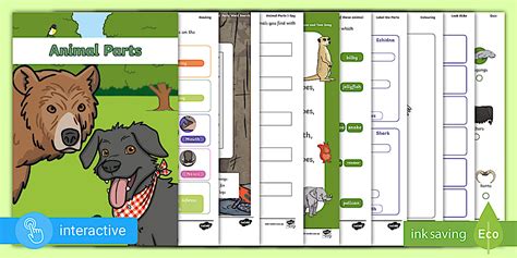 interactive assessment functions of animal adaptations answers