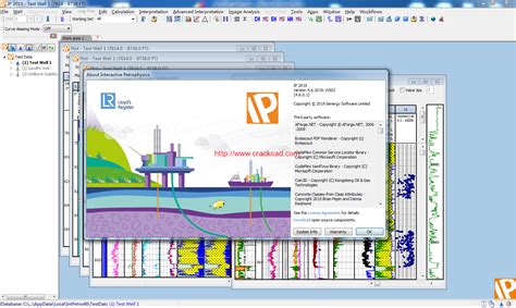Interactive Petrophysics Manual