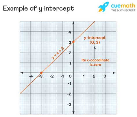 Intercept Meaning