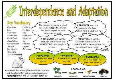Interdependence And Adaptation