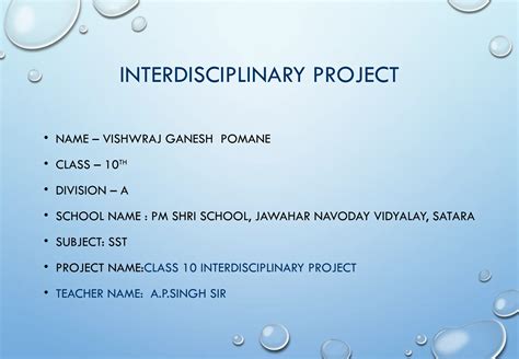 Interdisciplinary Projects Cbse Class 10