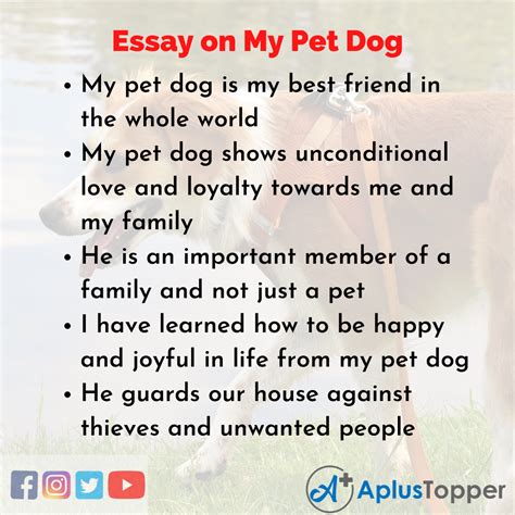 Interesting 5 Essay On Dog For Class 1 5 Simple Sentences About Dog - 5 Simple Sentences About Dog