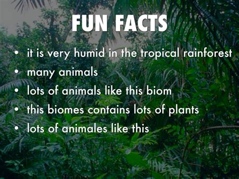 Interesting Facts About The Rainforests Science Facts Rainforest Science - Rainforest Science