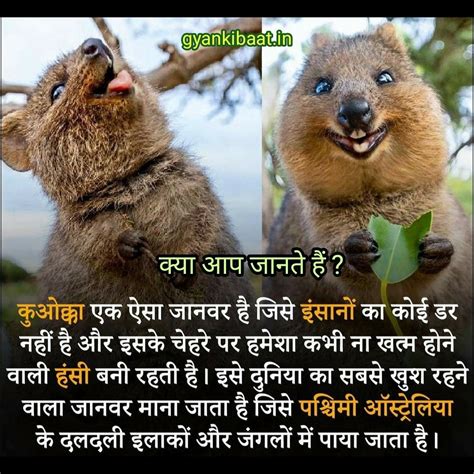 Interesting In Hindi