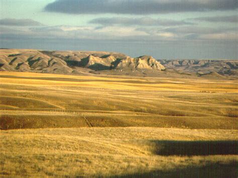 Interior Plains Region