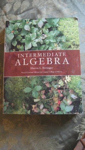 Full Download Intermediate Algebra 2Nd Custom Edition For 