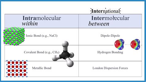 Intermolecular Vs Intramolecular
