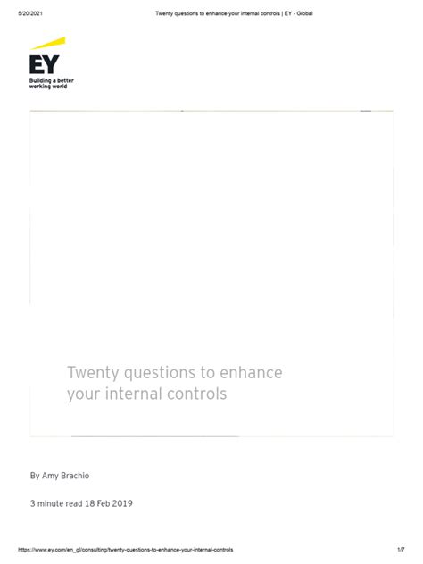 Full Download Internal Controls Ey 