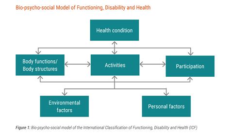 International Classification Of Functioning Model