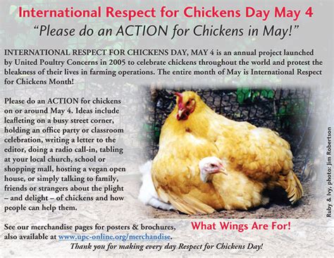 international respect for chickens month - clorofil