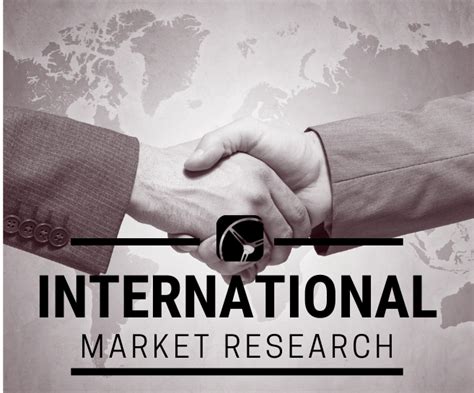 Read Online International Marketing Research 